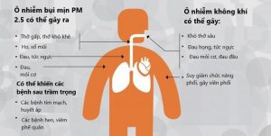 Các bệnh liên quan đến ô nhiễm không khí sử dụng máy lọc không khí văn phòng